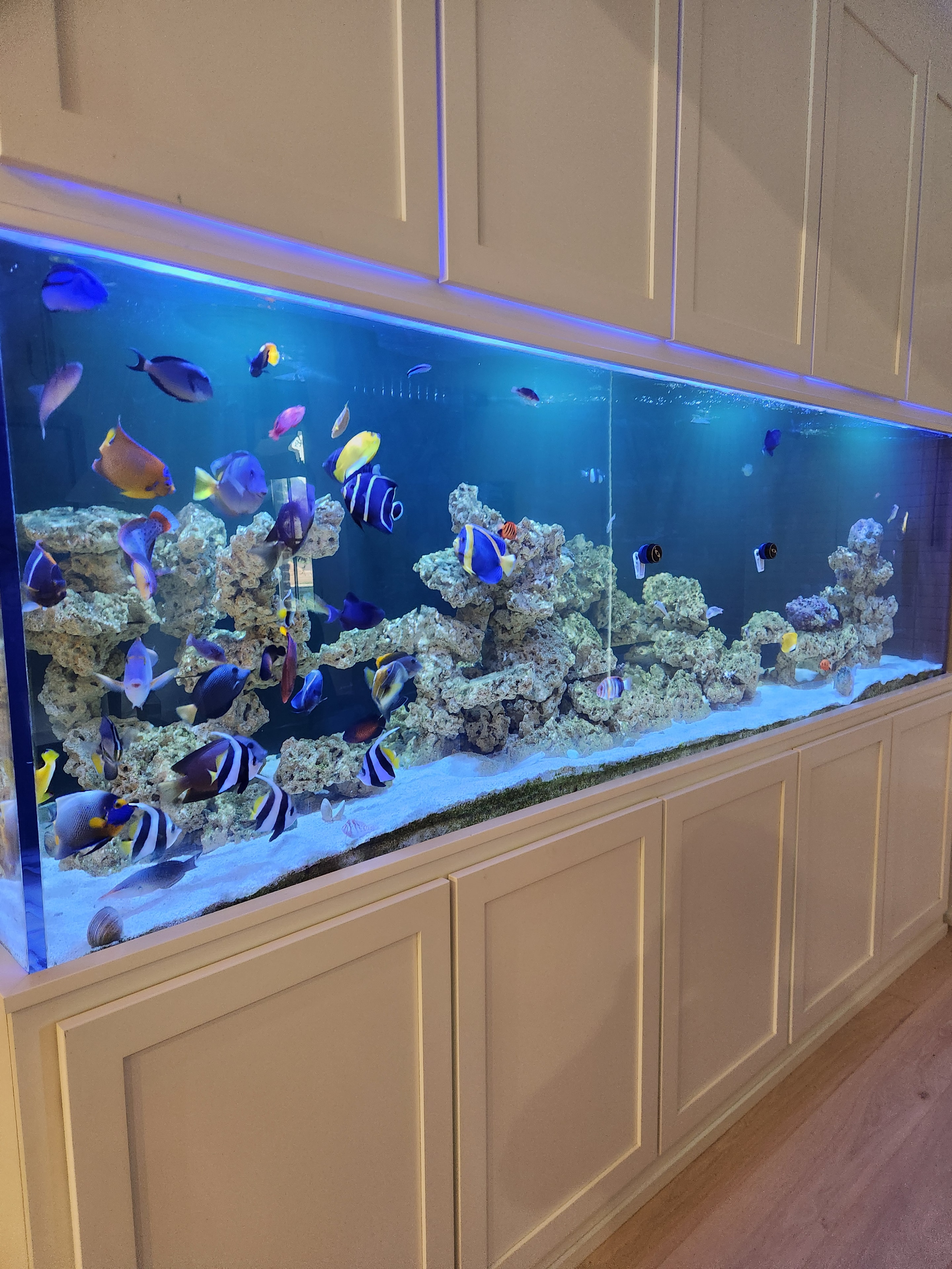 Custom Cabinet Project